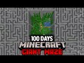 I Survived 100 Days In a Minecraft GIANT MAZE (Here's what happened)