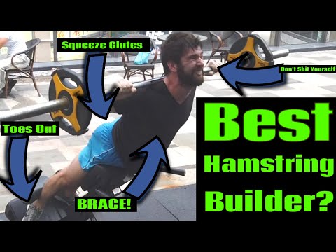 Back Extensions Are Fantastic (Posterior Chain/Hamstrings)