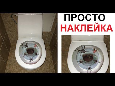 Макс Максимов. ЛЮТАЯ наклейка