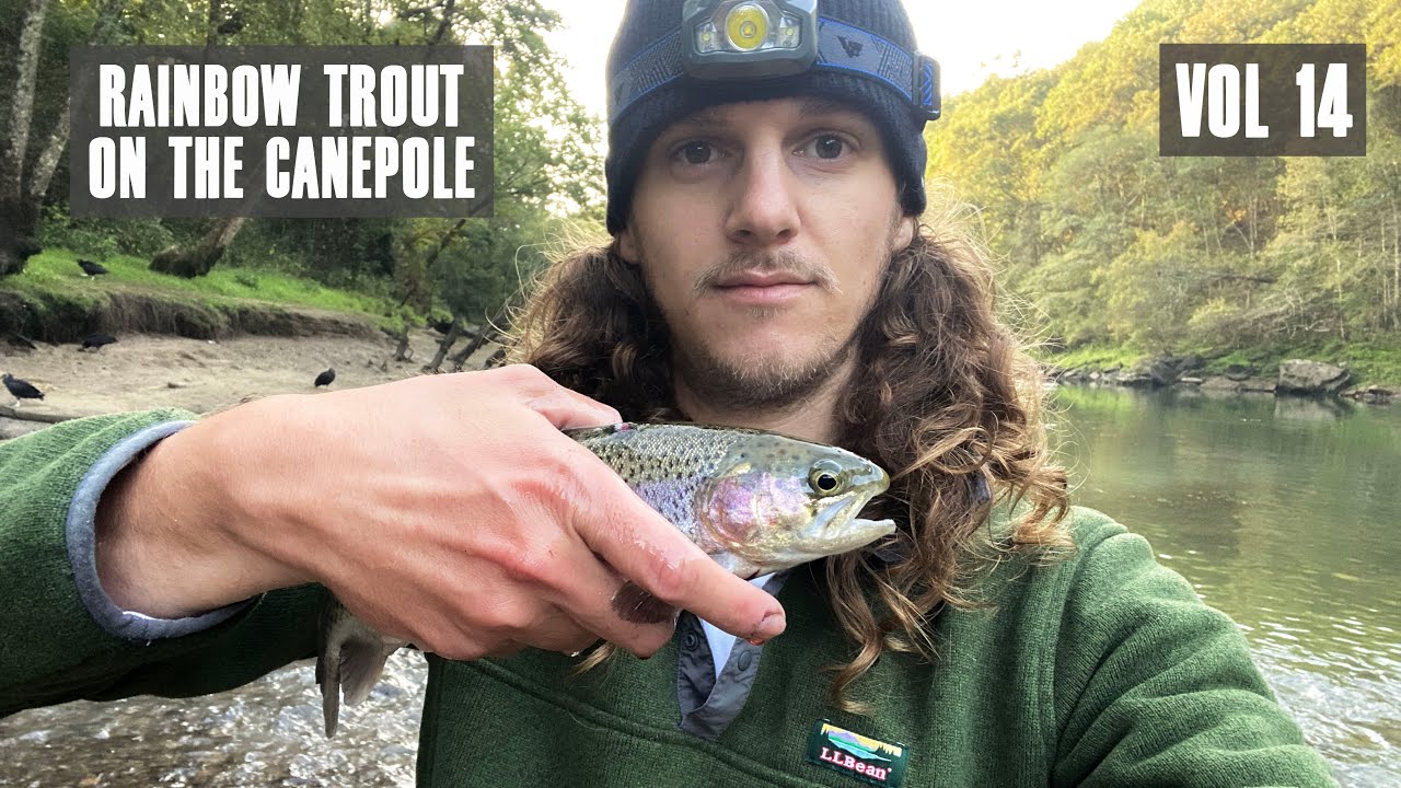 cane pole fishing for trout Cane Pole Adventures Vol 14: Rainbow Trout with Crickets