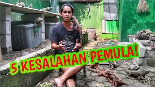 5 Kesalahan Cara Memelihara Iguana