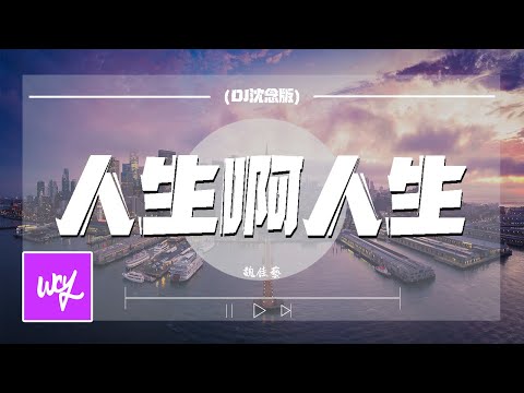 魏佳艺 - 人生啊人生（DJ沈念版）「啊人生啊人生就是一杯浓浓的酒 红尘啊红尘就是一曲淡淡的愁」【動態歌詞/pīn yīn gē cí】#魏佳艺 #人生啊人生 #動態歌詞