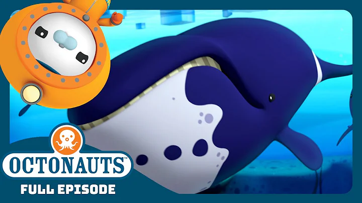 @Octonauts - 🌊 The Bowhead Whales Rescue 🐋 | Season 2 | Full Episode | Cartoons for Kids