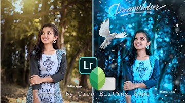 Lightroom Blue And  Bird Effect Photo Editing Tutorial |Lightroom Background Colour Change |Preset