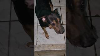 É a verdade, doa a quem doer.