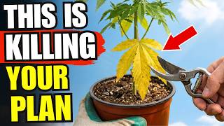 This One Pruning Mistake Is Killing Your Plants