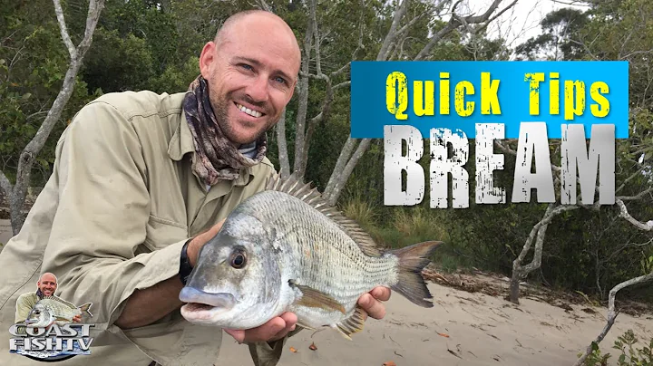 HOW TO CATCH BIG Bream on bread | Quick tips for beginners - DayDayNews