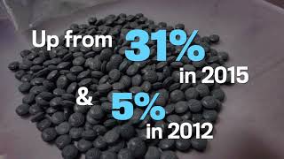 Fentanyl a major factor in jump in B.C. drug overdose deaths