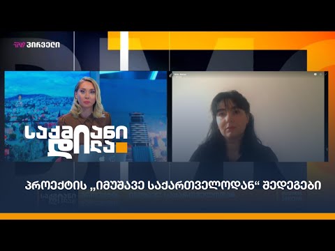 პროექტის ,,იმუშავე საქართველოდან“ შედეგები