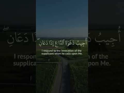 وإذا سألك عبادي عني فإني قريب آية تملأ القلب أملا بصوت عبدالباسط عبدالصمد