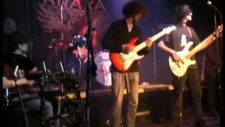 Sandstorm Mango At Don Hills 4408