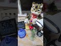 ライブ ハイライト