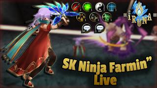 Silent Killing Ninja Still Exist!?! - [Iruna Online Live ENG] screenshot 3