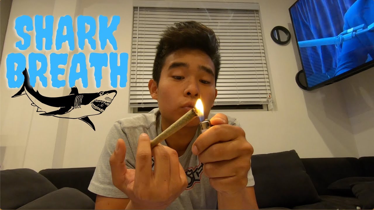 Weed Review, Shark Breath by Wow Los Angeles