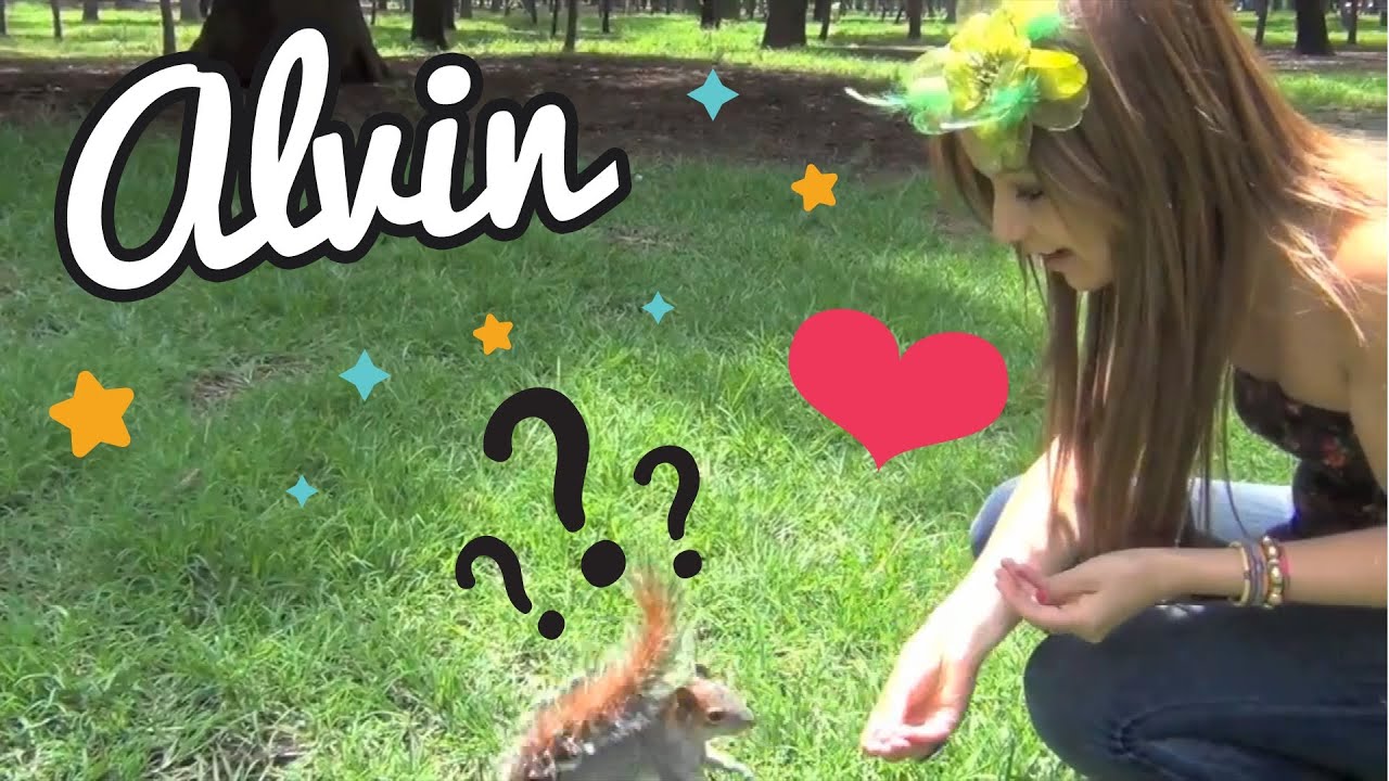 video phone beyonce mp3 JUANXITA EN... CHAPULTEPEC!!!!!!