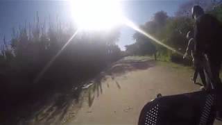 Paseo en bici por Reserva Ecológica Costanera Sur, Buenos Aires, Argentina