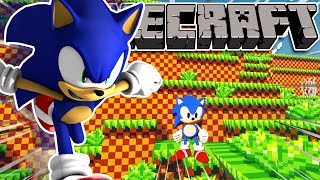 SONIC MEETS MINECRAFT!! screenshot 5