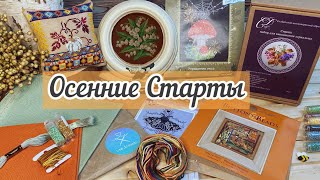 видео: СТАРТЫ осенние 🍂 не опять, а снова! #вышивка картинка: СТАРТЫ осенние 🍂 не опять, а снова! #вышивка