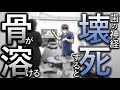 神経が壊死すると骨が溶ける？治療後の患者様へのご説明（樋状根の根管治療） ＃マイクロスコープ ＃ラバーダム