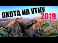 Охота 2019 на утку ЁКЛМН Налеты уток и не только ) Охота на утку или как попасть в красную шапочку))