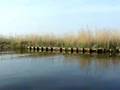 Sailing around Sneek (Friesland)