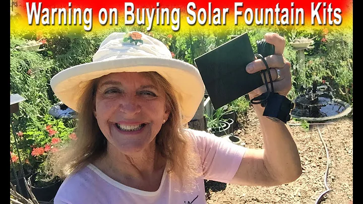 Solar Fountain Pump THINGS to Know BEFORE You Buy ...