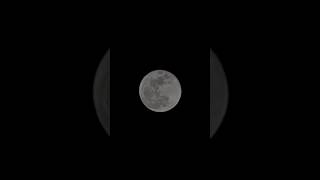 Download Lagu Face on the Moon? Testing the Claims 🌚 ✨ MP3 Download Lagu Face on the Moon? Testing the Claims 🌚 ✨ MP3