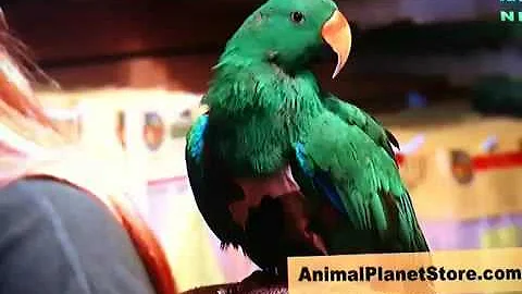 My friend Lori Dunn's television debut!