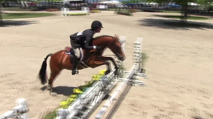 Video of SPLENDID ridden by AGNES HAHN from ShowNet!