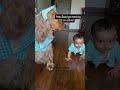 Posto &amp; Pup Steal the Show in Matching Outfits | Wrapinfur Twinning Magic