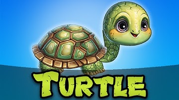 Turtle || 2D Animated Character || Spriter || #2dcharacteranimation #2dcharacter #2dcharacterdesign
