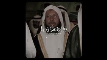 ولو ترى إذ وقفوا على ربهم | تلاوة خاشعة وجميلة - محمد ايوب
