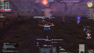 Sage Rush to 100 → Picto dailies → WHM Leveling (Healer Rush) | Followers 1000/1100~