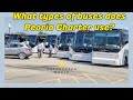 What types of buses does Peoria Charter use?