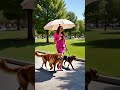 Afternoon Walks #calgary #business #pets