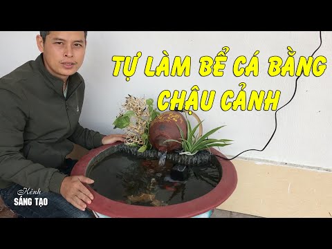 Video Tự làm bể cá cảnh bằng chậu cảnh hết 300k độc và lạ - youtube