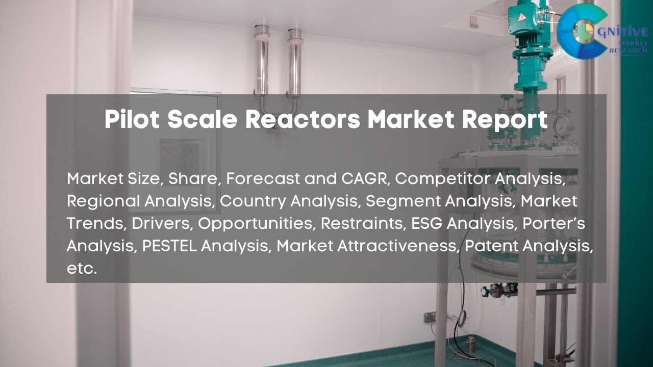 Pilot Scale Reactors Market Report 2024