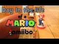 Day in the Life of a Mario Amiibo