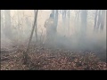 В Туапсинском районе в Небугском поселении трое суток тушили лесной пожар.