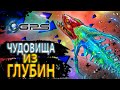 СЮРПРИЗЫ ПОДВОДНОГО МИРА Чудовища из глубин GPS Channel СЮРПРИЗЫ ПОДВОДНОГО МИРА Чудовища из глубин GPS Channel