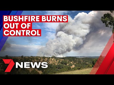 Bushfire burns out of control in the Adelaide Hills amid sweltering heat | 7NEWS