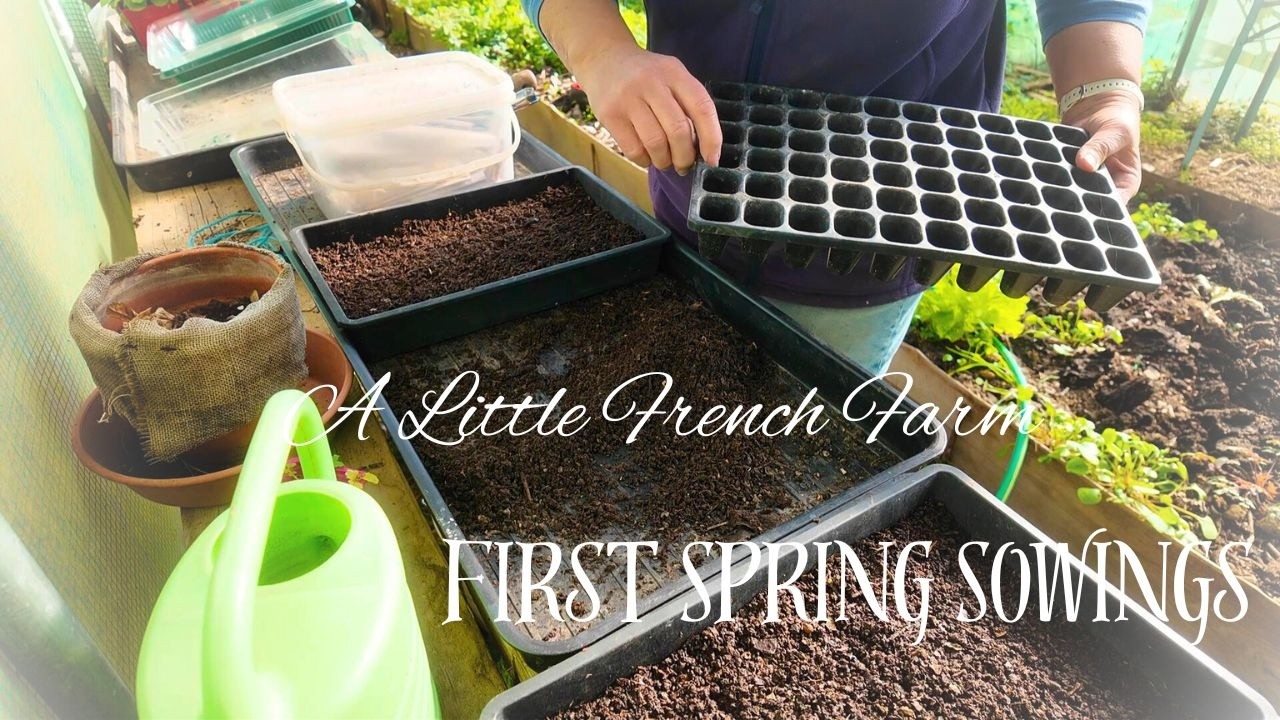 Here's What I Am Sowing Now That Spring Has Arrived