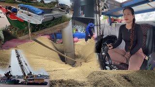 Midnight Rice Delivery: A Day in the Life on the Mekong Delta