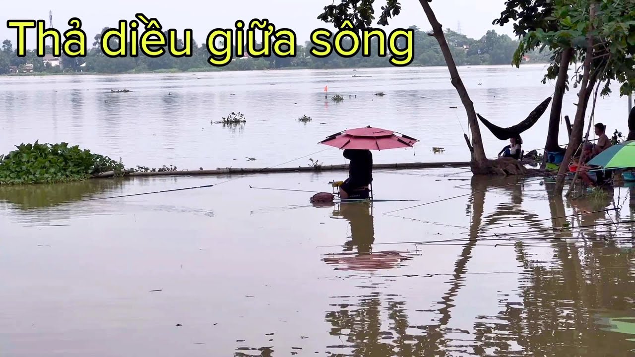 ✅ Bãi câu cá thiên nhiên chống móm Sông Đồng Nai | Mồi câu DF | DUY FISHING SAIGON