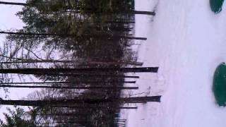 Snowing in Whitefish, MT Kim and Kira
