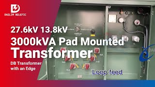 27.6kV 13.8kV 3000kVA Pad Mounted Transformer | Daelim Transformers