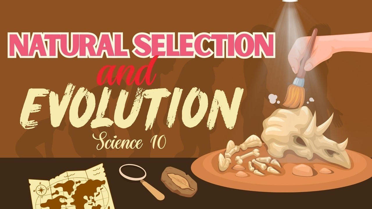 Term 1 Science 10 | Lesson 10: Natural Selection | MATATAG Curriculum