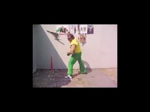 SZCH — SZCH - uključen ti je blutut