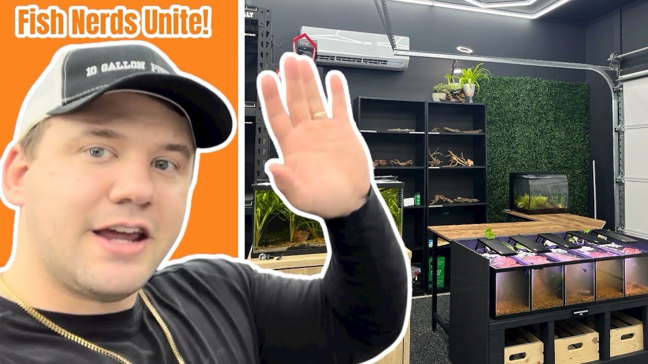 What REALLY Happens at an Aquarium Club Meeting (Cleaning Tanks at 10 Gallon Fish Tank HQ!) 