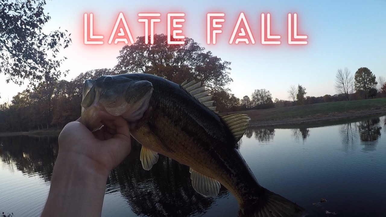 Amazing Fall Bass Fishing!